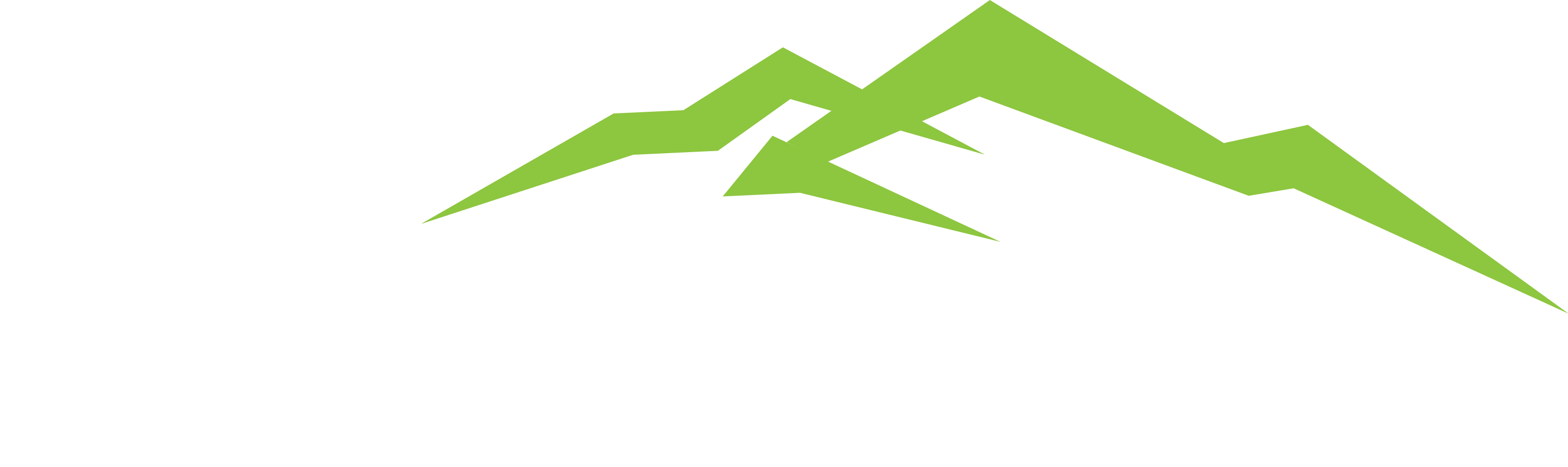 Luminor Product Category Logo