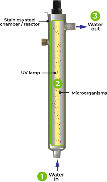 How UV disinfection works in a LUMINOR chamber